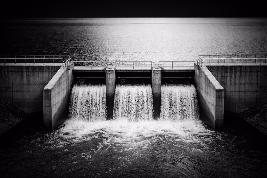 Andrew Wilkinson: The Operational Physics of Boring Businesses